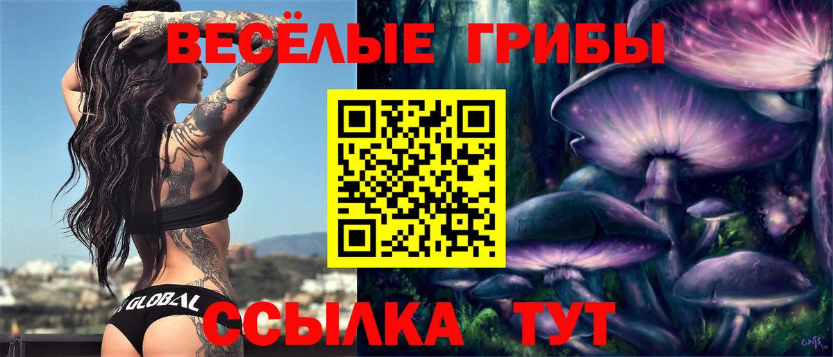 купить закладку  Вход с VPN  Каменка  Галлюциногенные грибы GOLDEN TEACHER 
