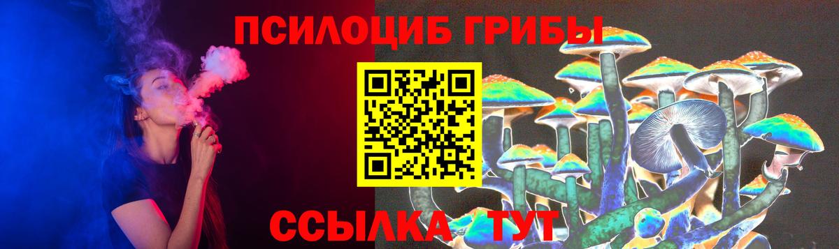 Псилоцибиновые грибы MAGIC MUSHROOMS Каменка