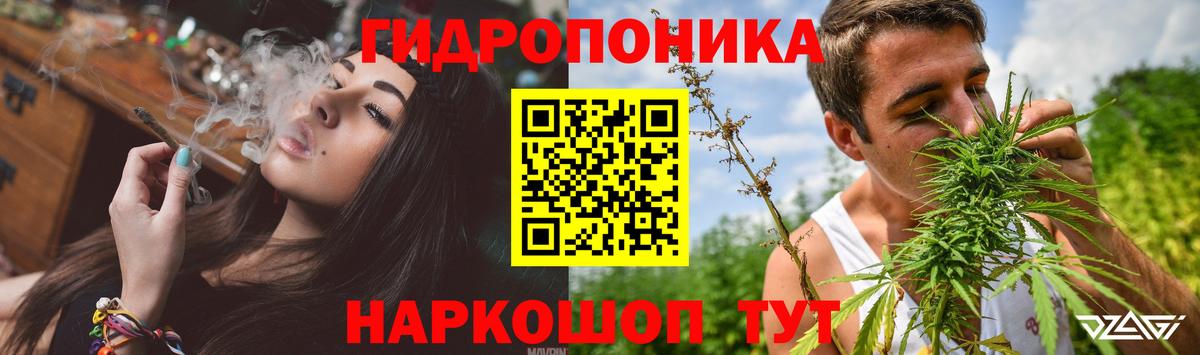 Каннабис индика Каменка